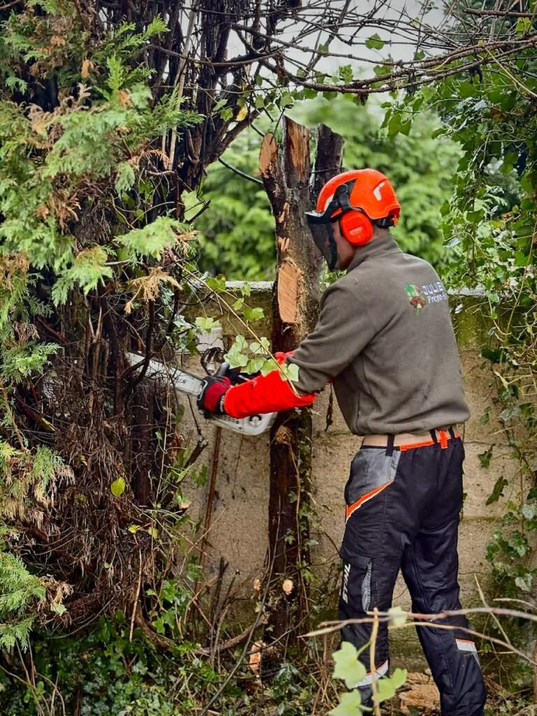 Abattage de haies - Réalisation Julien Prépa-Sol